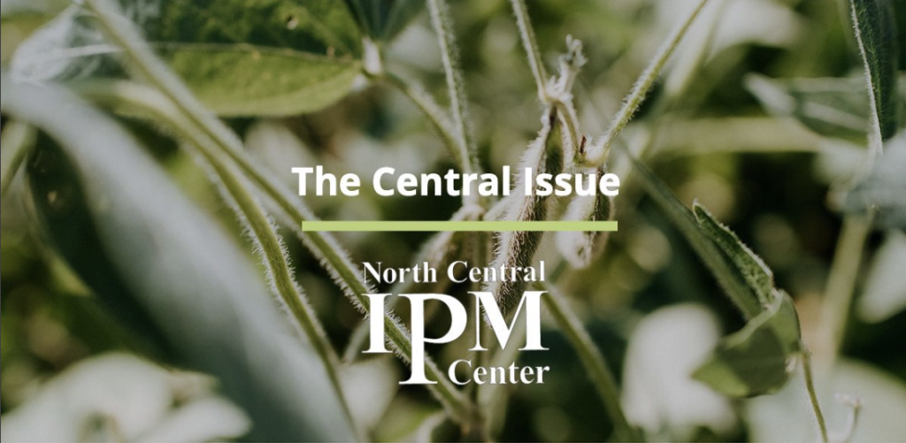 The Central Issue Newsletter title with growing soybeans in the background.