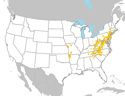 Asian lonhorned tick range. This tick has been spotted in most eastern US states as far south as Georgia and as far west as Missouri and Arkansas.