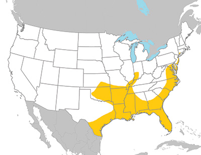 Gulf Coast tick range. Gulf Coast ticks have been found in the southeastern US states. They are expanding west into Texas, Oklahoma and Kansas. They are expanding north into Virginia, Maryland, Delaware and New Jersey.