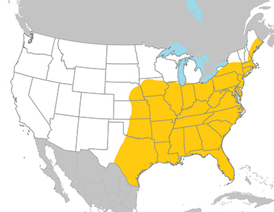 Lone Star tick range. Lone star ticks have been found in all southeastern US states. They have expanded as far west as Texas, Oklahoma and Kansas and Nebraska, and the northern edge of their confirmed range runs along Iowa, Illinois, Indiana, Ohio, New York, Massachusetts and Maine.
