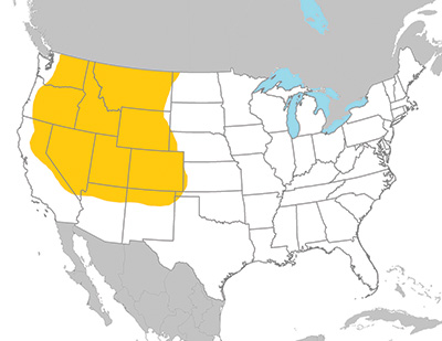 Rocky Mountain Wood tick range. This tick has been found in the western US states from Washington to North Dakota and from California to the edge of Oklahoma.