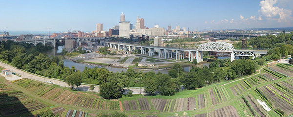 Urban garden view from above with city buildings in background