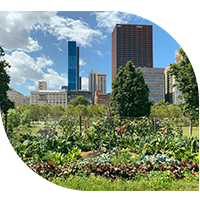 Urban garden with buildings of city in background.